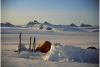 Greenland Paul Rose