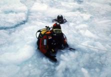 Ice Diving Antarctica Paul Rose