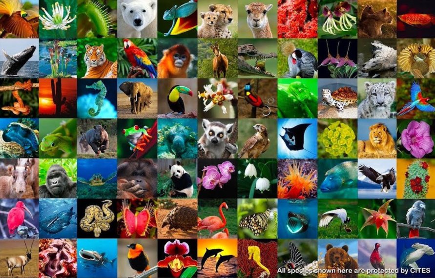 Global Biodiversity 2023