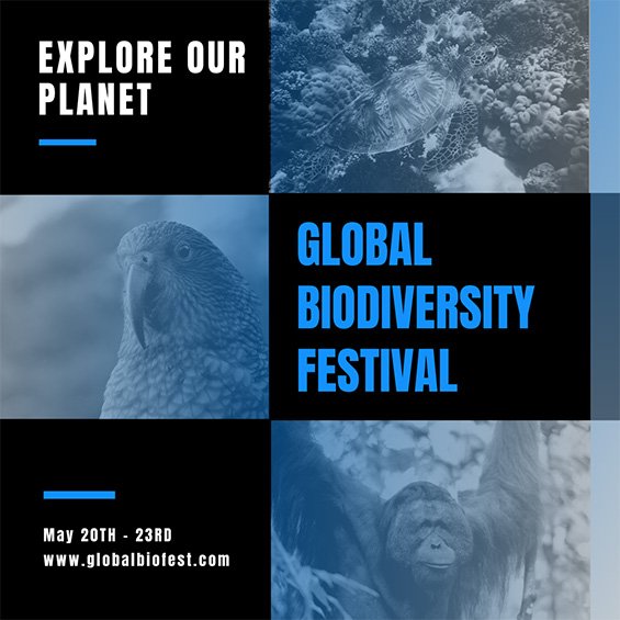Global Biodiversity Festival
